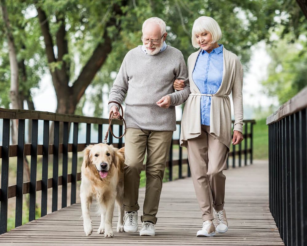 Senior couple walking their dog